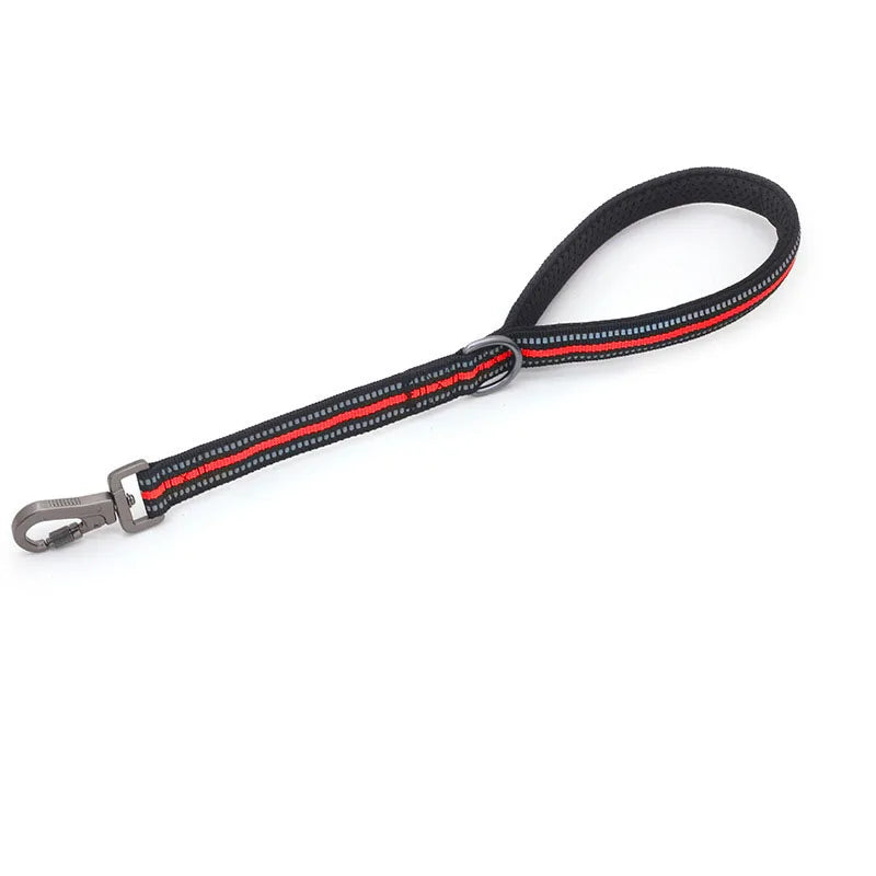 Reflective Training Leash with Zinc Alloy Lock