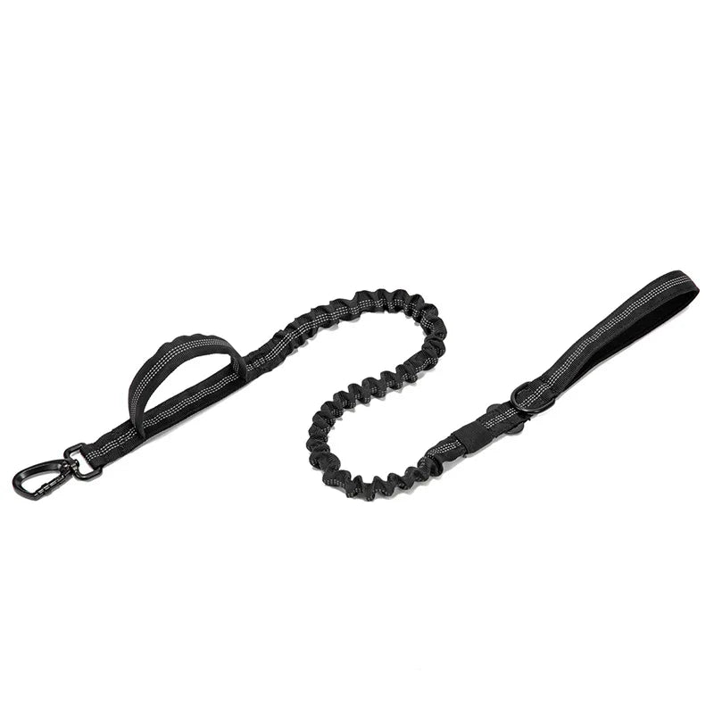 Heavy Duty Nylon Dog Leash