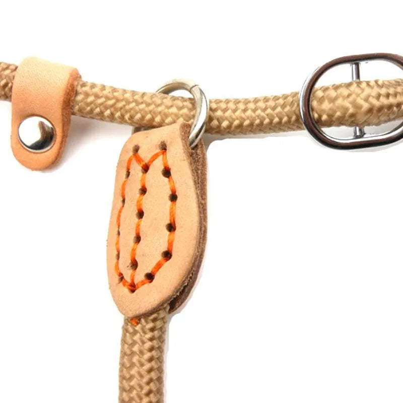 Slip Rope Heavy Duty Collar and Leash