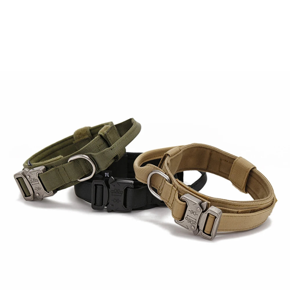 Heavy Duty Nylon Dog Collar