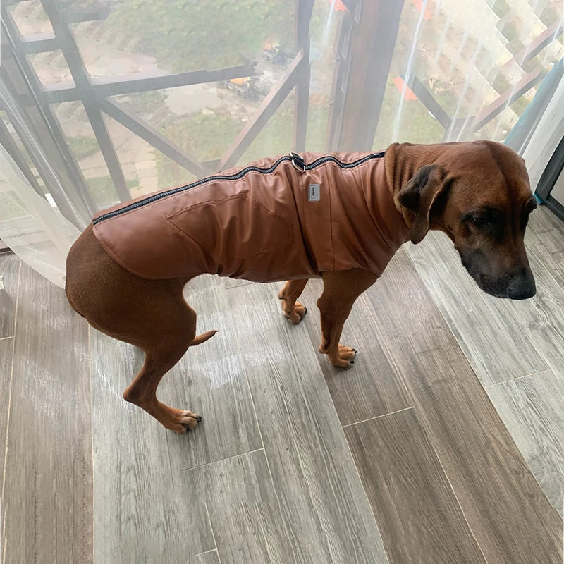 Waterproof Leather Pet Jacket
