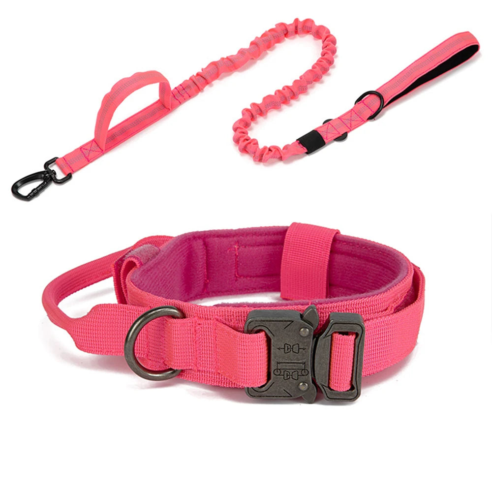 Heavy Duty Nylon Dog Set