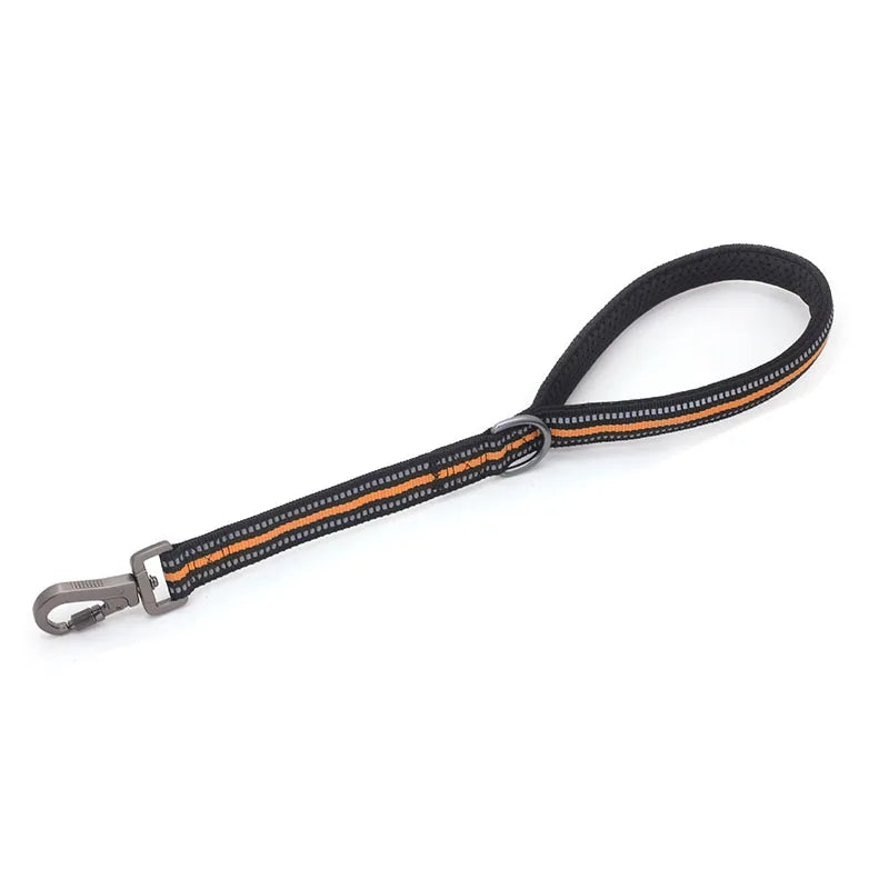Reflective Training Leash with Zinc Alloy Lock