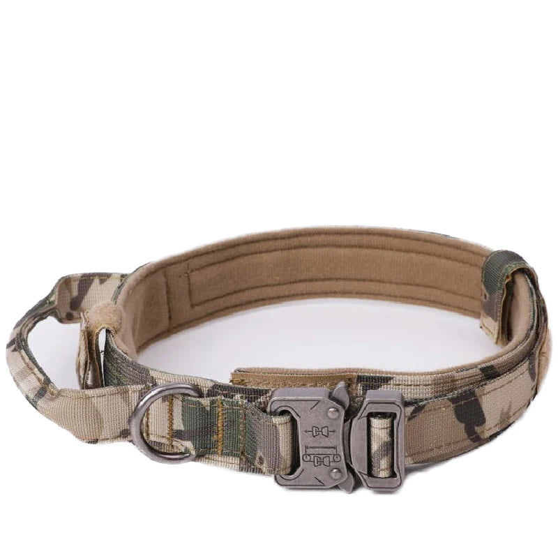 Heavy Duty Nylon Dog Collar