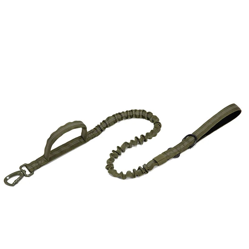 Heavy Duty Nylon Dog Leash
