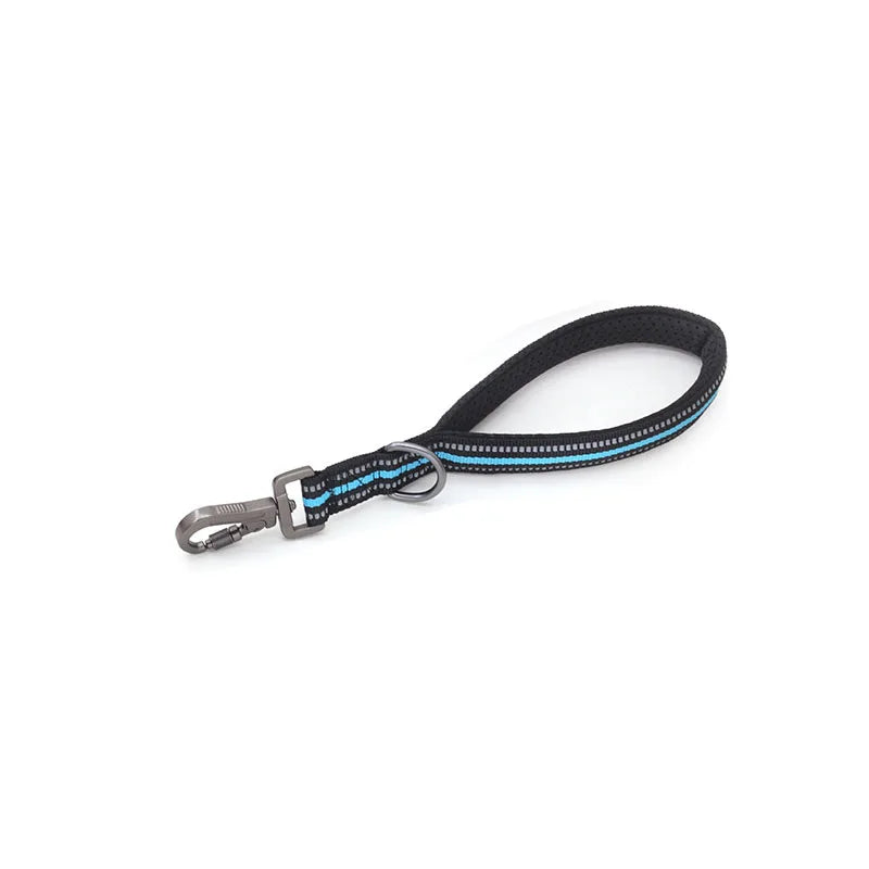 Reflective Training Leash with Zinc Alloy Lock