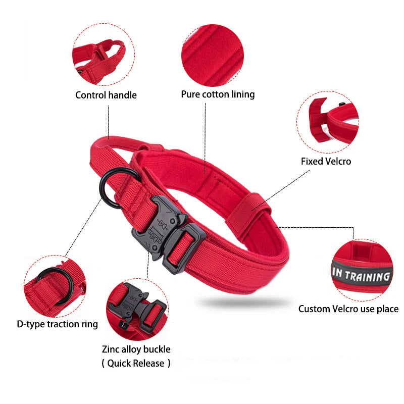 Heavy Duty Nylon Dog Set
