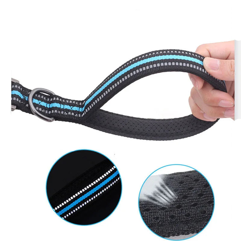 Reflective Training Leash with Zinc Alloy Lock