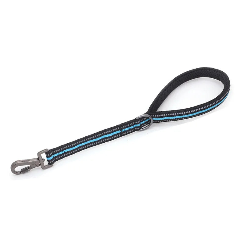 Reflective Training Leash with Zinc Alloy Lock