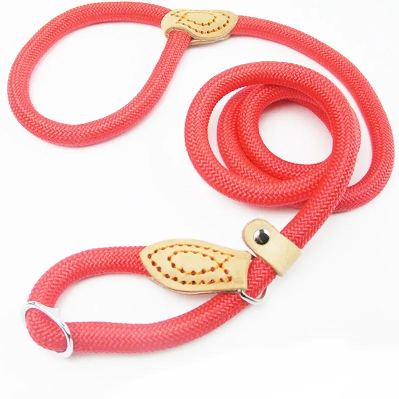Slip Rope Heavy Duty Collar and Leash