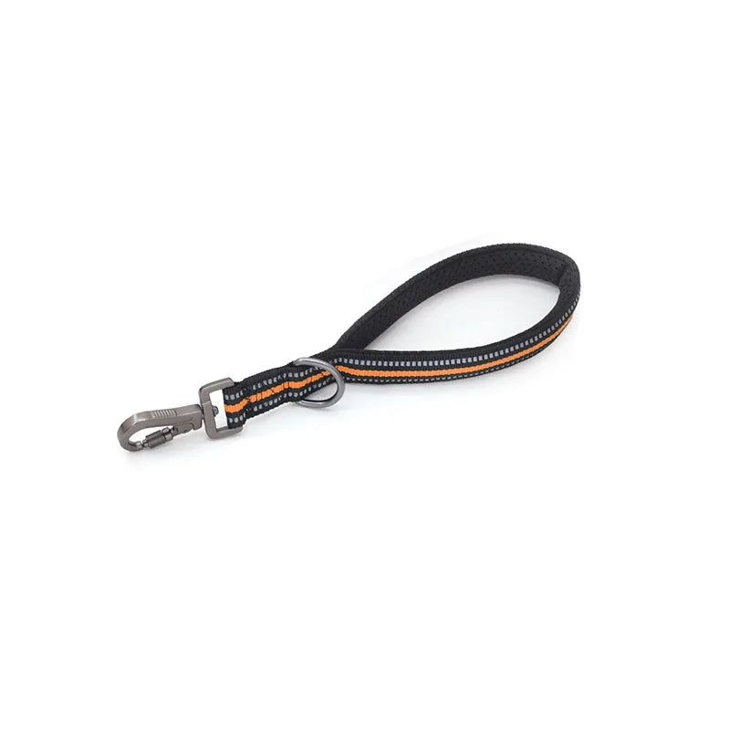 Reflective Training Leash with Zinc Alloy Lock
