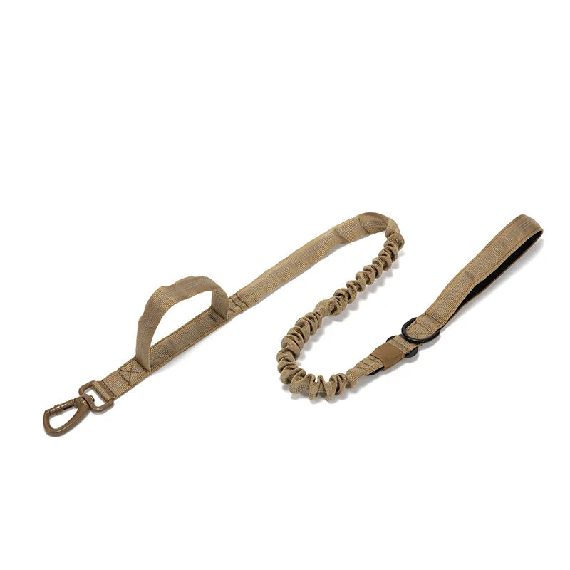 Heavy Duty Nylon Dog Leash