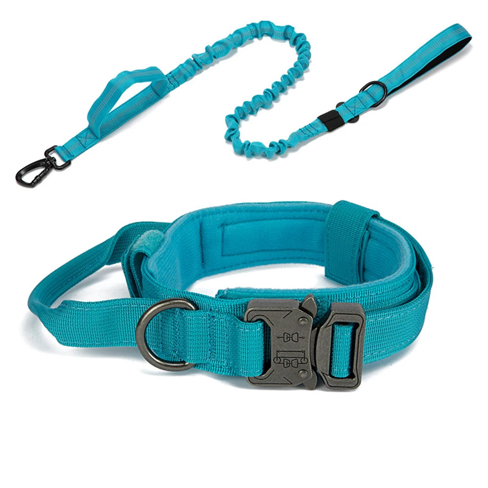 Heavy Duty Nylon Dog Set