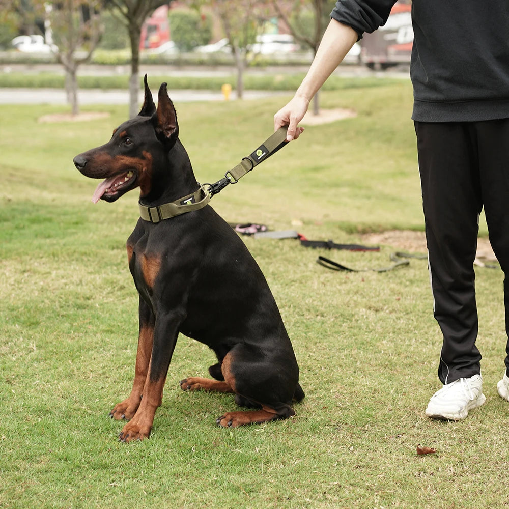 Short Dog Leash Padded Traffic Handle