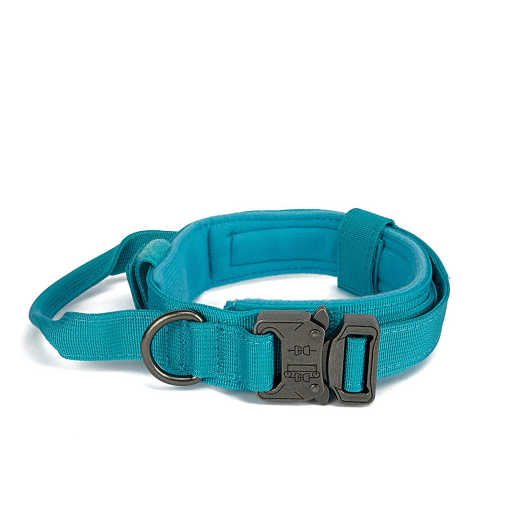 Heavy Duty Nylon Dog Collar