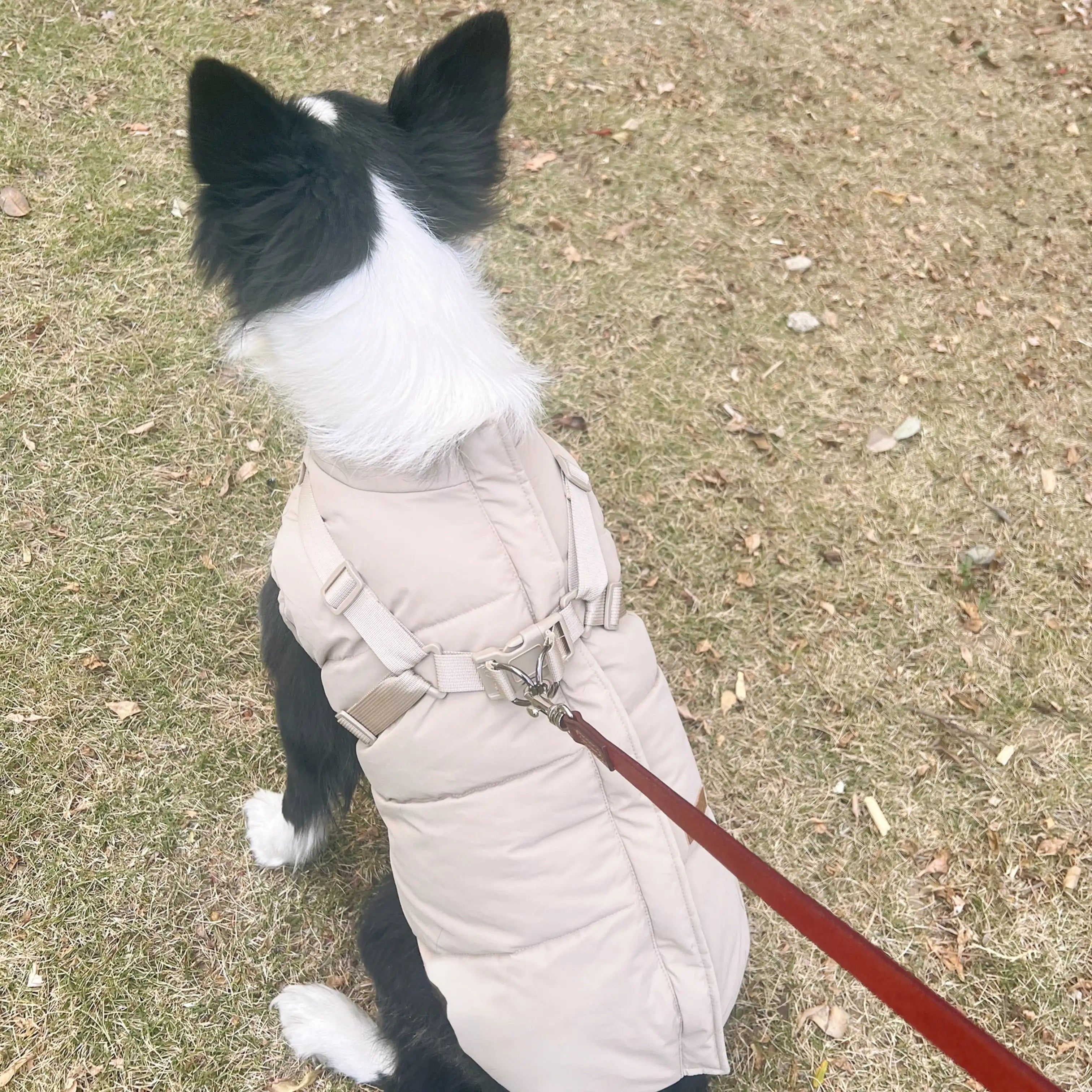 Windproof & Rainproof Pet Jacket