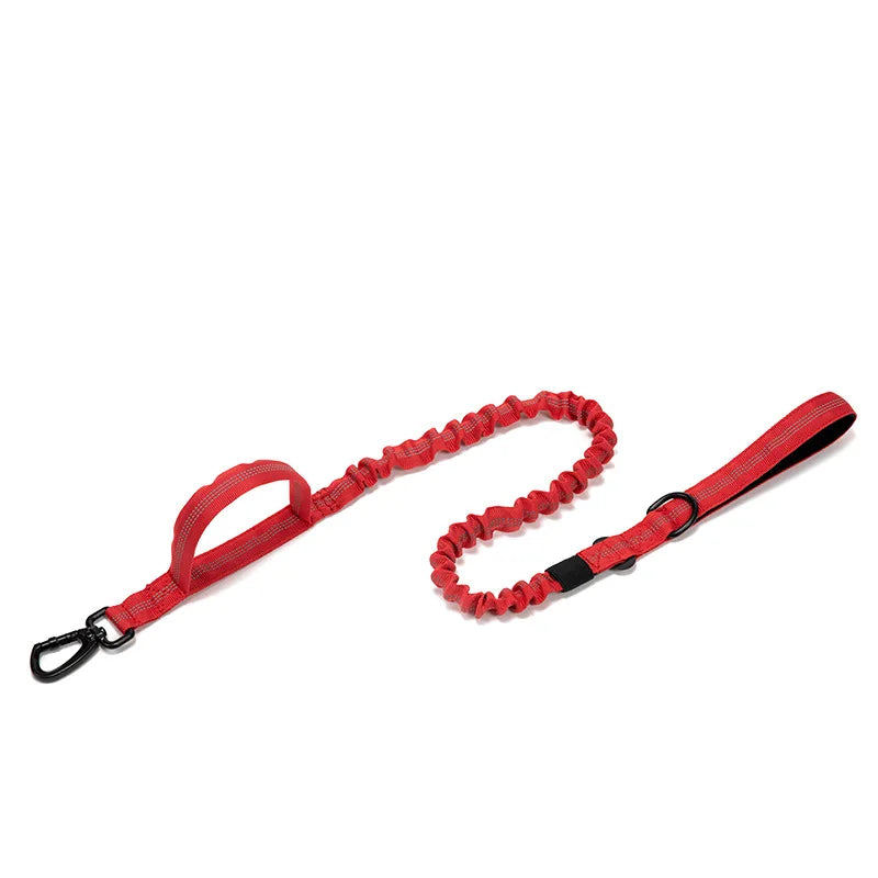 Heavy Duty Nylon Dog Leash