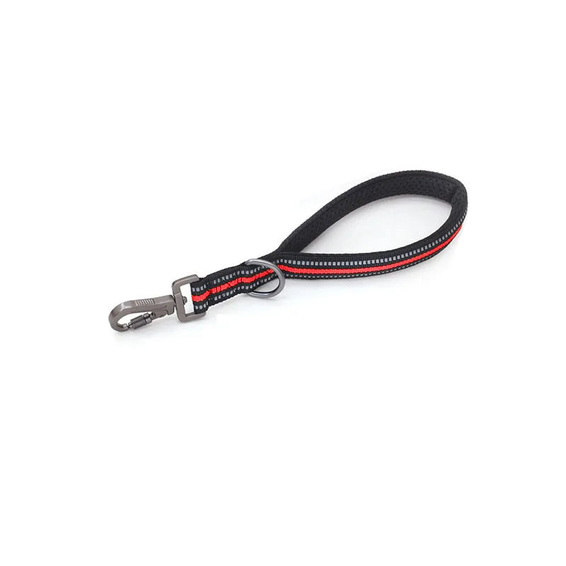 Reflective Training Leash with Zinc Alloy Lock