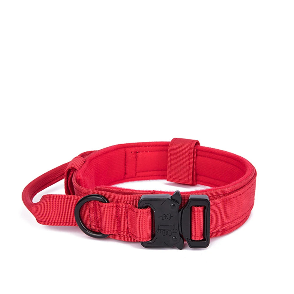 Heavy Duty Nylon Dog Collar