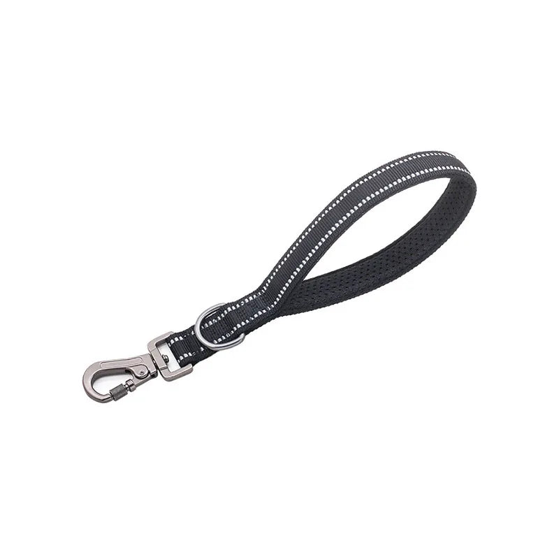 Reflective Training Leash with Zinc Alloy Lock