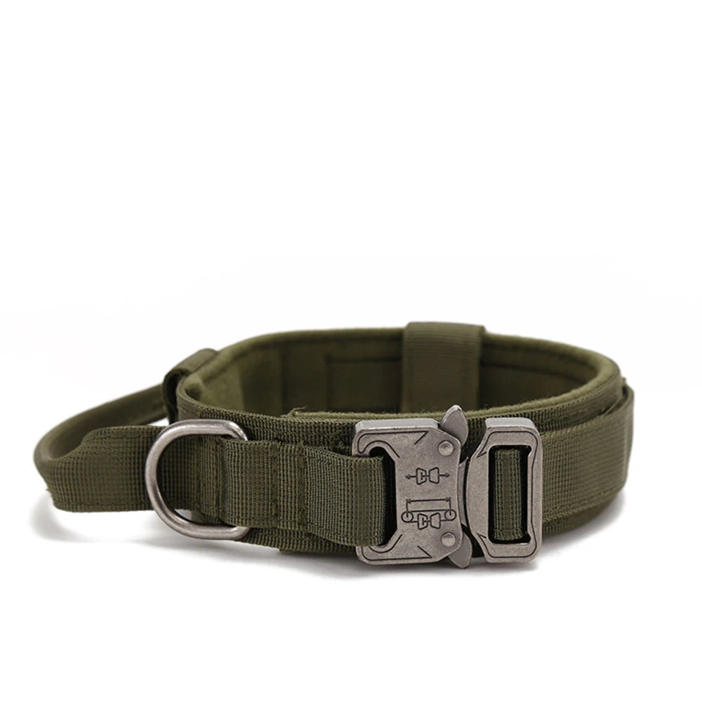 Heavy Duty Nylon Dog Collar