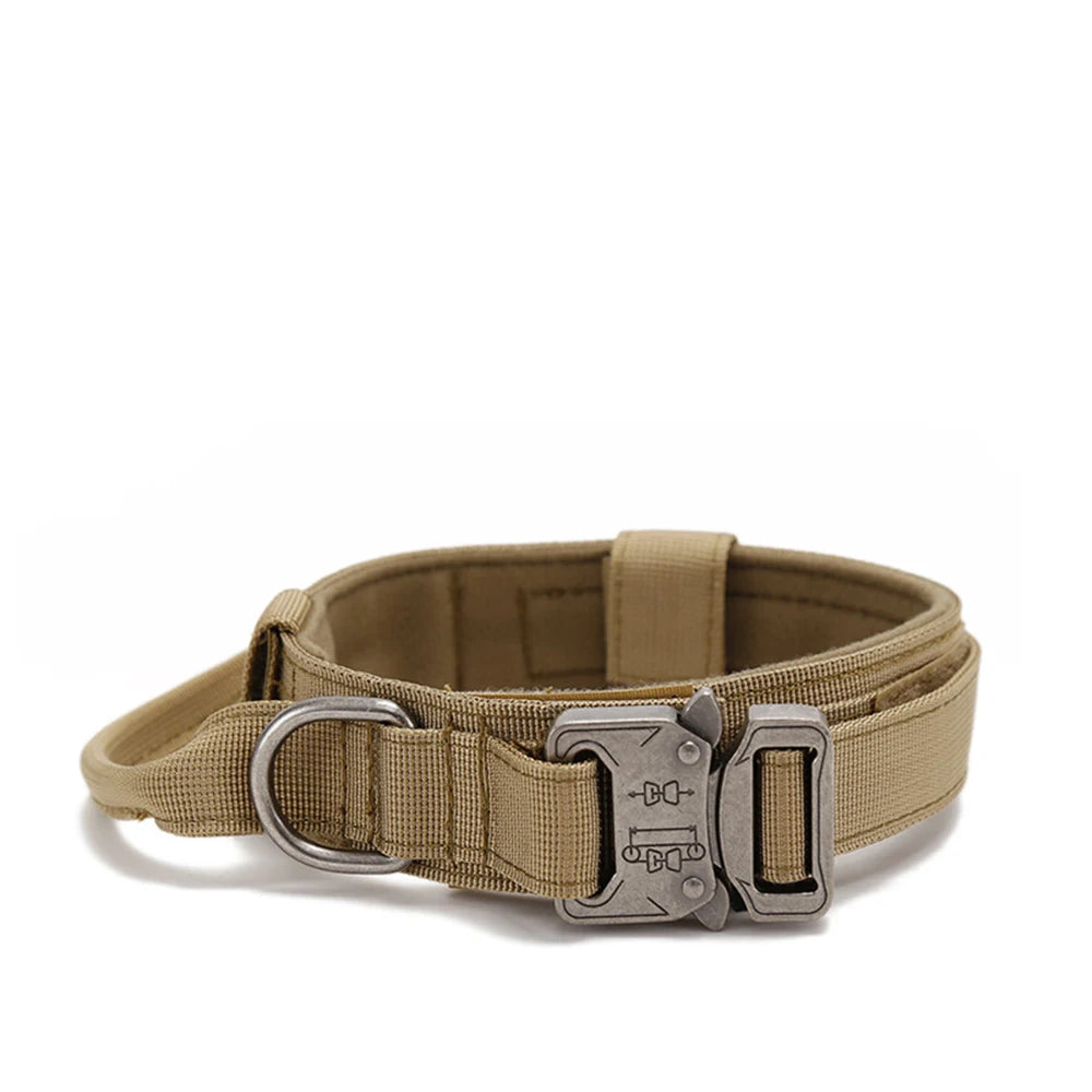 Heavy Duty Nylon Dog Collar