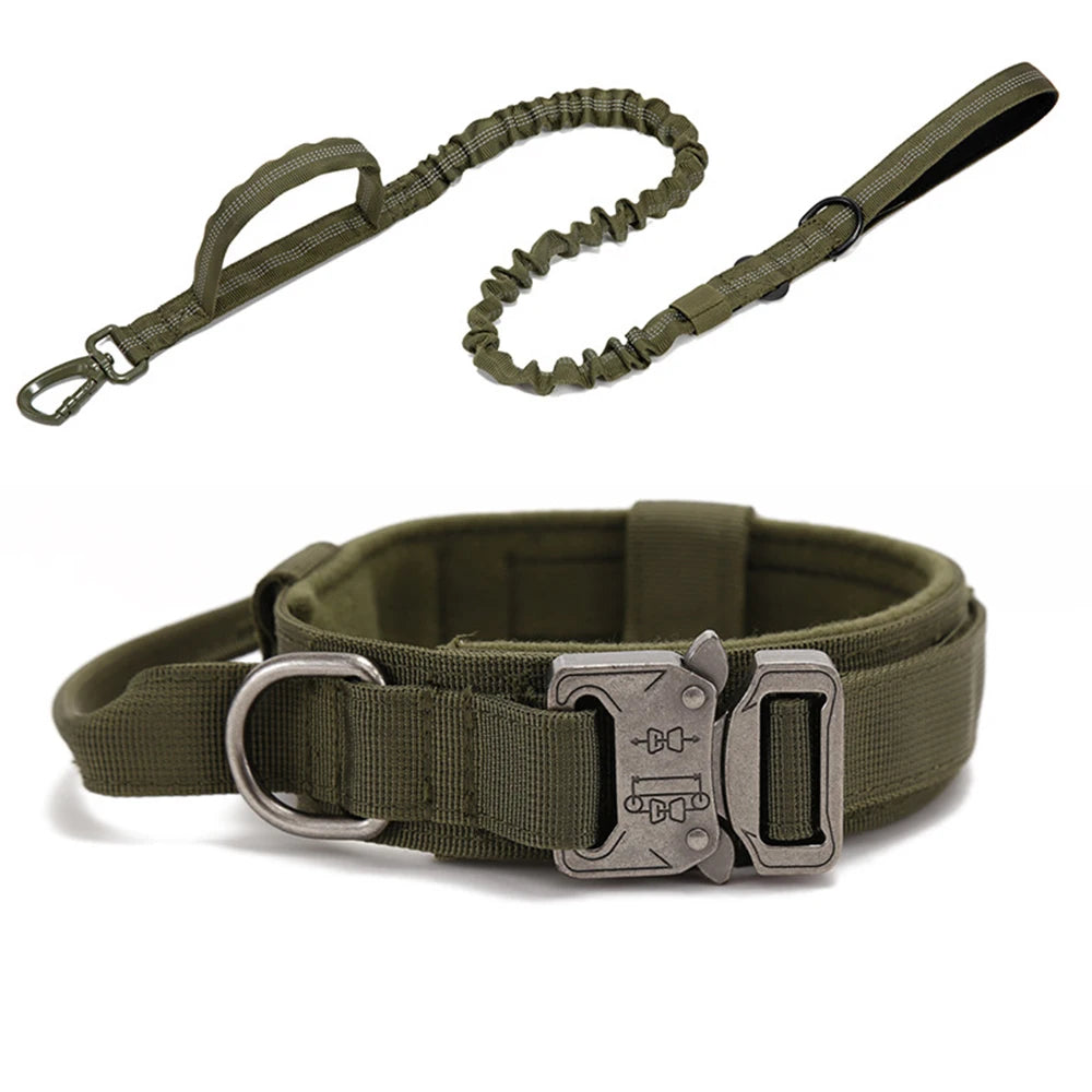 Heavy Duty Nylon Dog Set