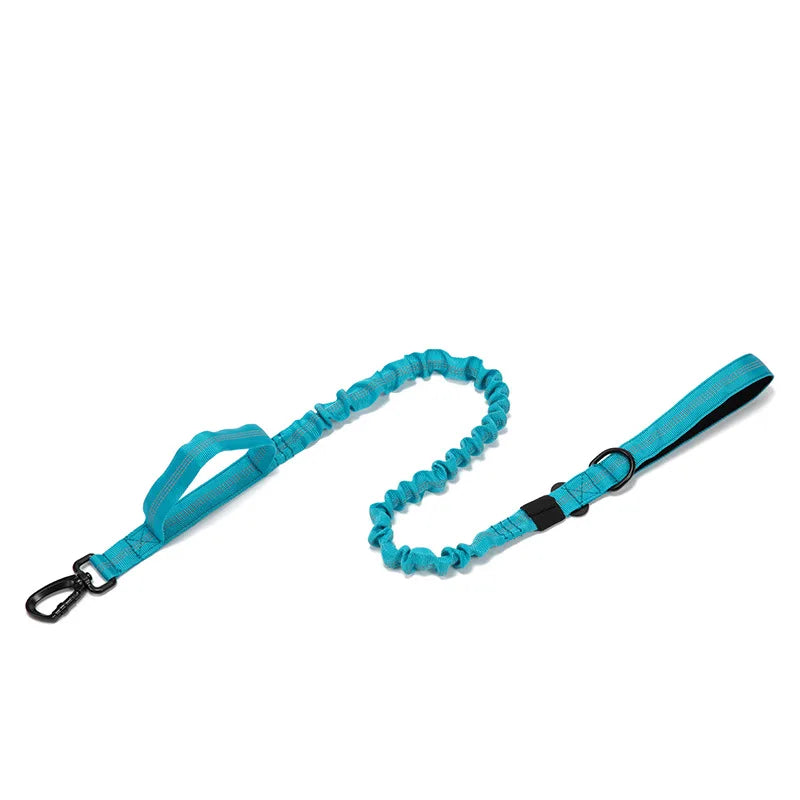 Heavy Duty Nylon Dog Leash