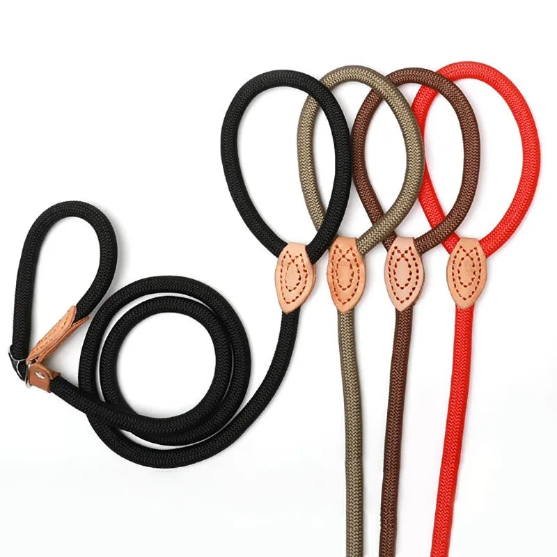 Slip Rope Heavy Duty Collar and Leash
