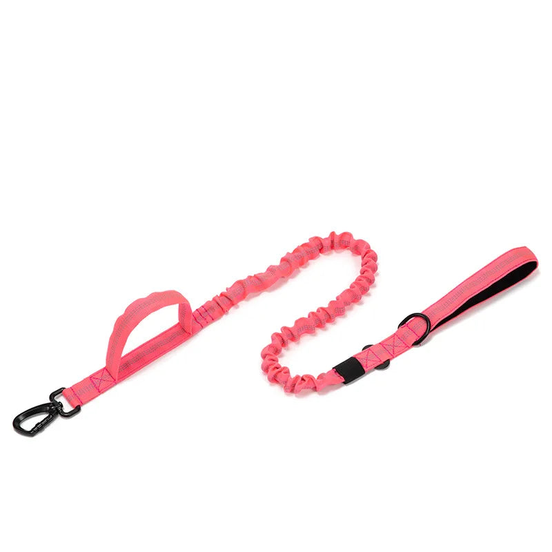 Heavy Duty Nylon Dog Leash