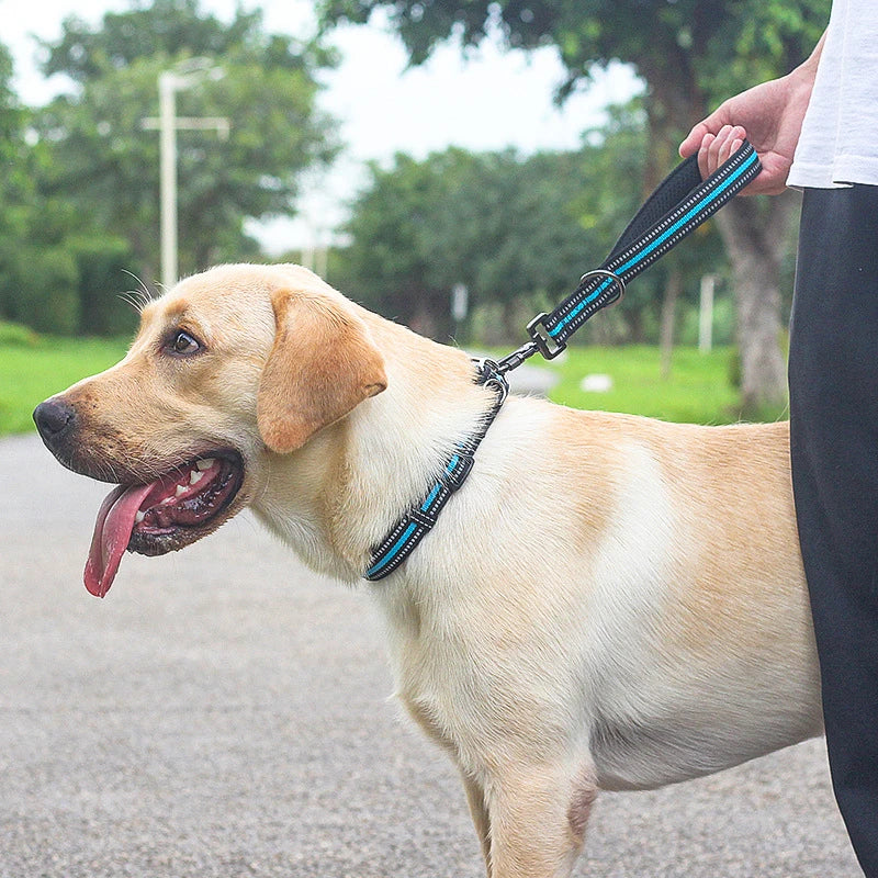 Reflective Training Leash with Zinc Alloy Lock