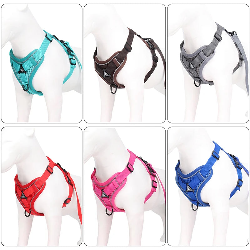 Dog Harness Lead Set For Small and Medium Dogs