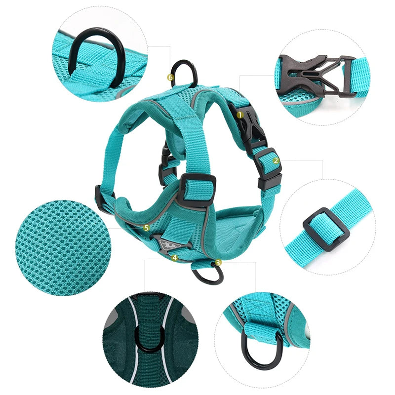 Dog Harness Lead Set For Small and Medium Dogs