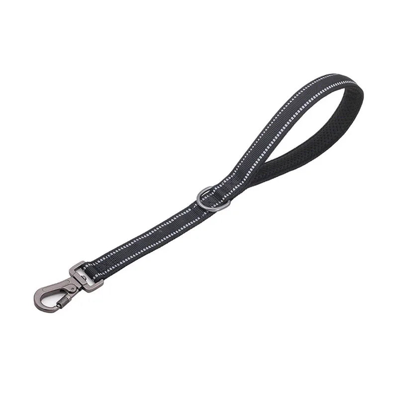 Reflective Training Leash with Zinc Alloy Lock