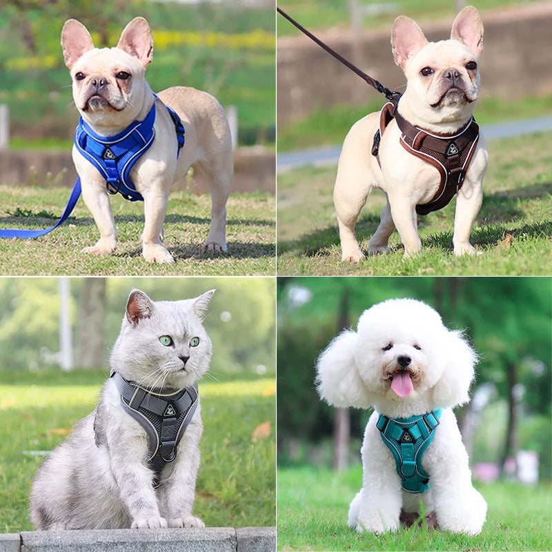 Dog Harness Lead Set For Small and Medium Dogs