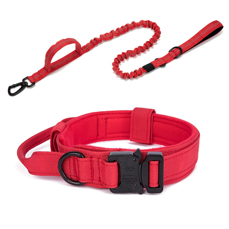 Heavy Duty Nylon Dog Set