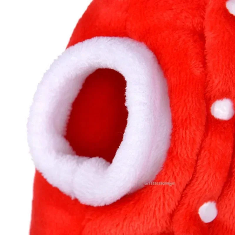 Dog Santa Costume