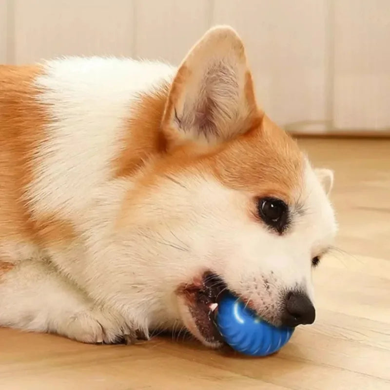 Automatic Moving Bouncing Ball