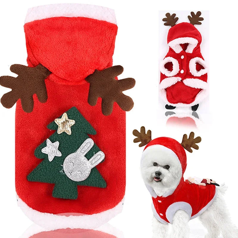 Dog Santa Costume