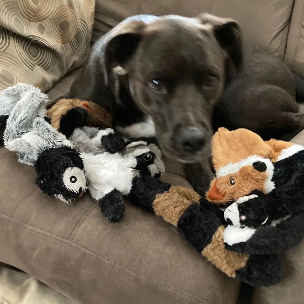 Animal Dog Toy with Squeakers