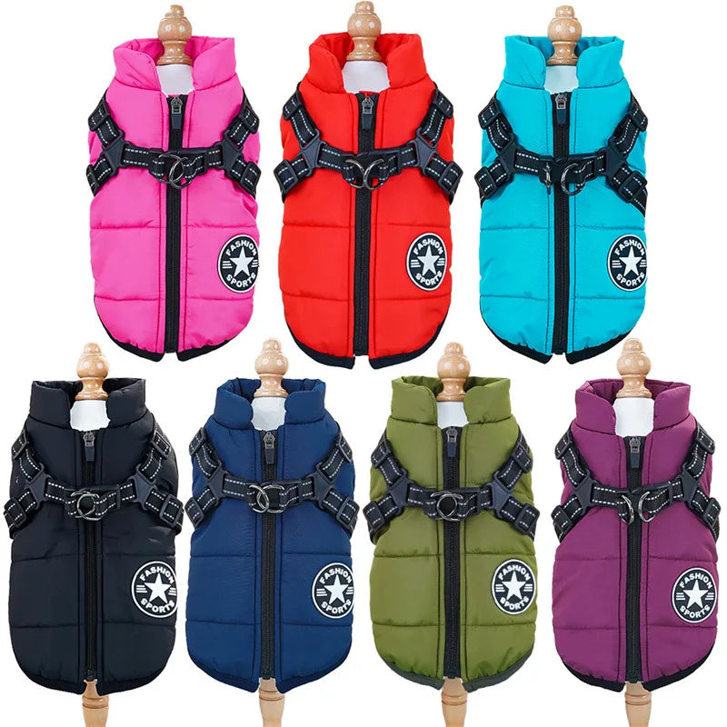 Dog Jacket With Harness