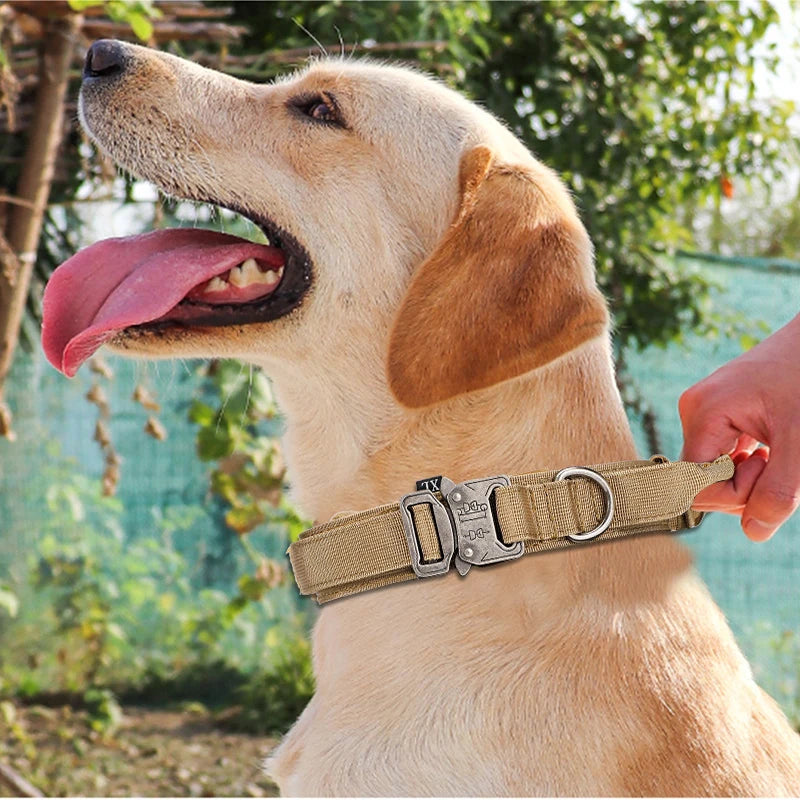 Heavy Duty Nylon Dog Set