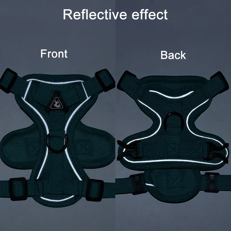 Dog Harness Lead Set For Small and Medium Dogs