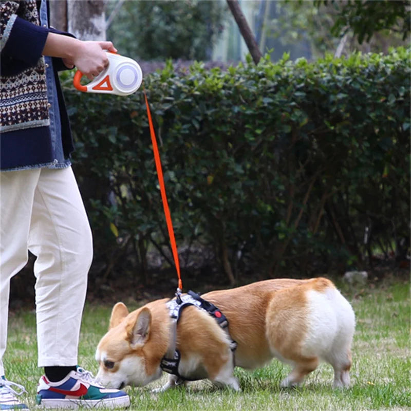 5M Retractable Dog Lead with Led Flashlight