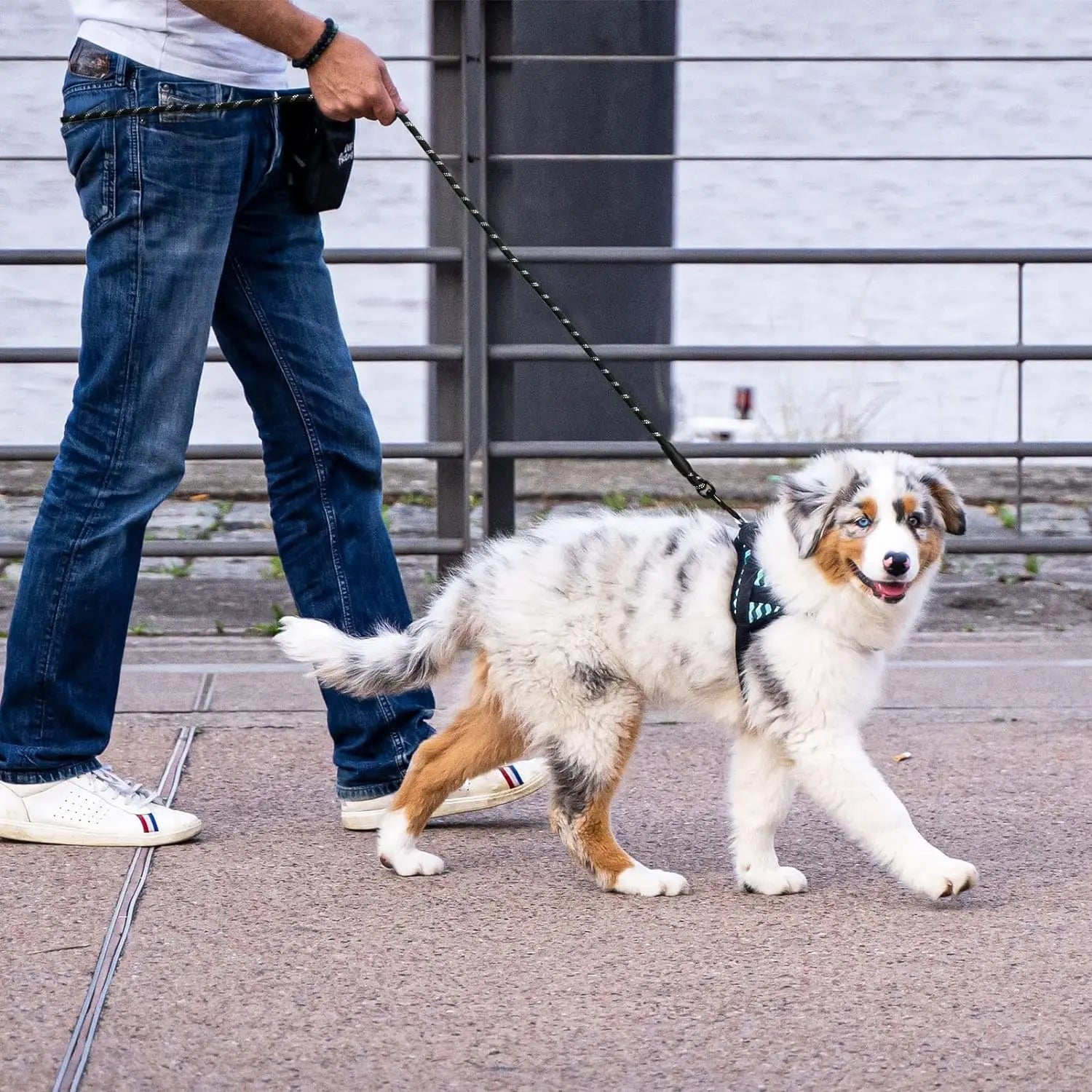 5FT Reflective braided Dog Lead -