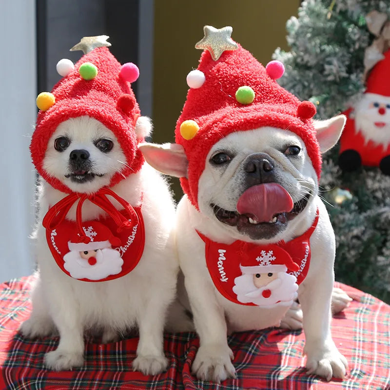 Dog Santa Costume