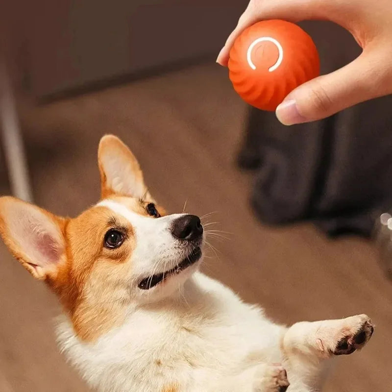 Automatic Moving Bouncing Ball