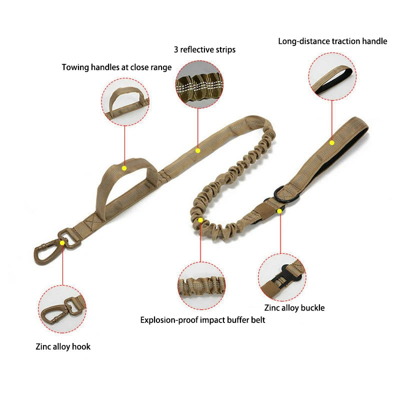 Heavy Duty Nylon Dog Leash