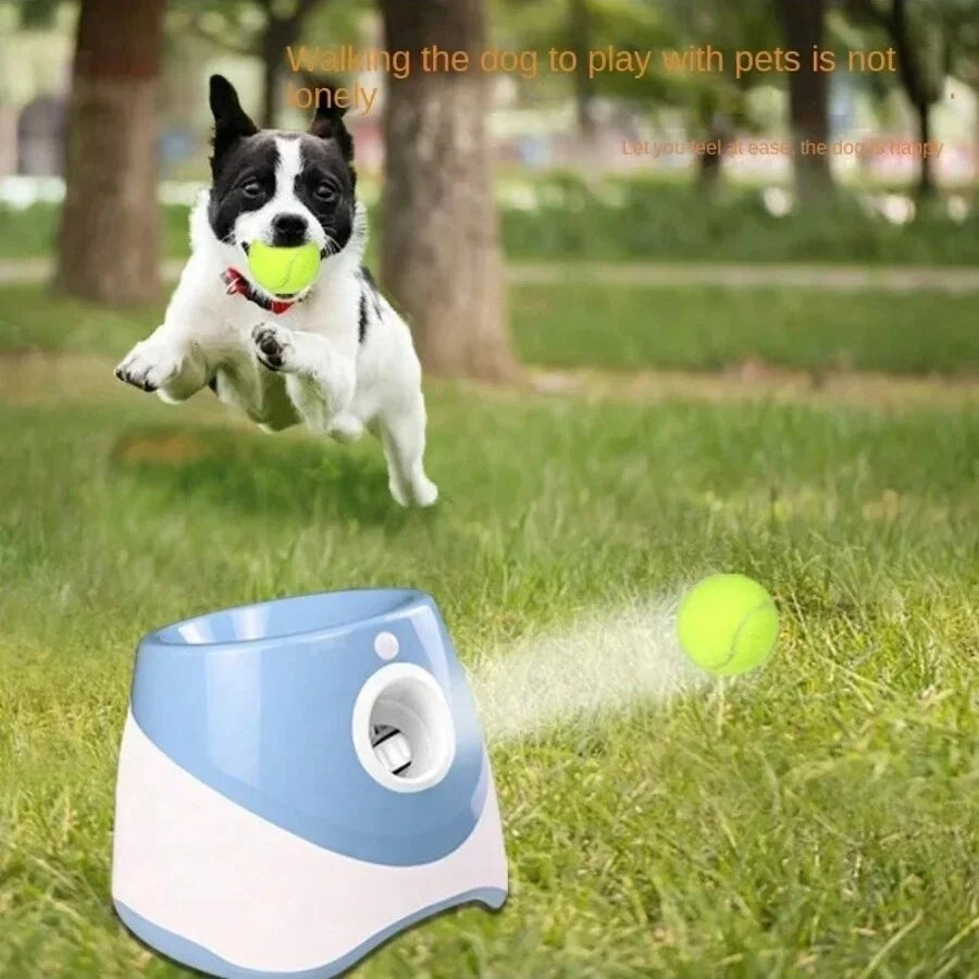 Automatic Ball Launcher for Dogs..